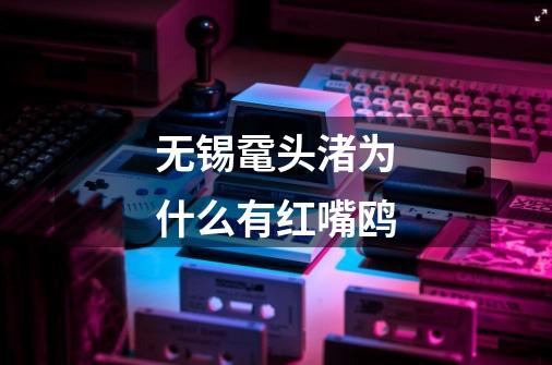 无锡鼋头渚为什么有红嘴鸥-第1张-游戏信息-龙启网
