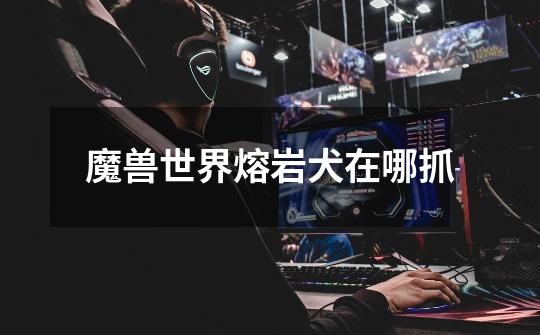 魔兽世界熔岩犬在哪抓-第1张-游戏信息-龙启网