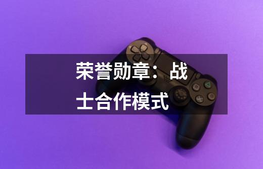 荣誉勋章:战士合作模式-第1张-游戏信息-龙启网