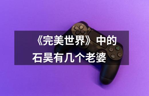 《完美世界》中的石昊有几个老婆-第1张-游戏信息-龙启网