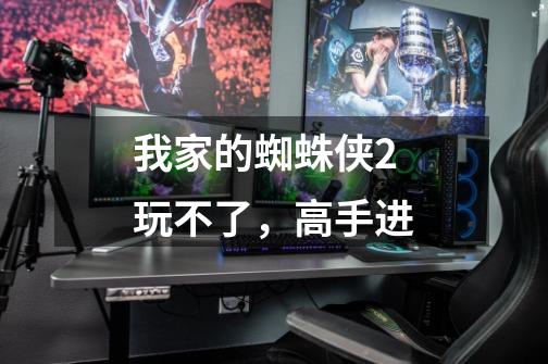 我家的蜘蛛侠2玩不了，高手进-第1张-游戏信息-龙启网