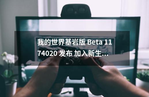 我的世界基岩版 Beta 1.17.40.20 发布 加入新生物群系“石峰”(Minecraft中文站)-第1张-游戏信息-龙启网