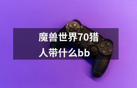 魔兽世界70猎人带什么bb-第1张-游戏信息-龙启网