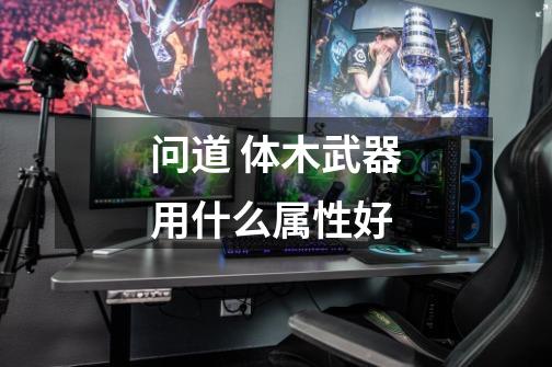 问道 体木武器用什么属性好-第1张-游戏信息-龙启网