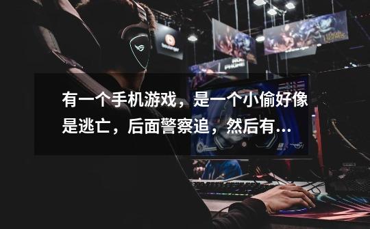有一个手机游戏,是一个小偷好像是逃亡,后面警察追,然后有卡片代表各个情节,通过改变卡片顺序来改变游-第1张-游戏信息-龙启网