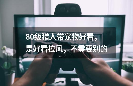 80级猎人带宠物好看,是好看拉风,不需要别的-第1张-游戏信息-龙启网