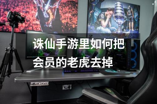 诛仙手游里如何把会员的老虎去掉-第1张-游戏信息-龙启网