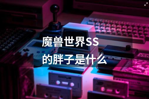 魔兽世界SS的胖子是什么-第1张-游戏信息-龙启网