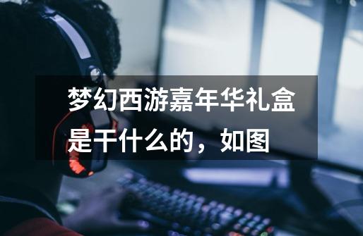 梦幻西游嘉年华礼盒是干什么的，如图-第1张-游戏信息-龙启网