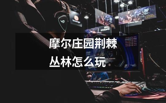 摩尔庄园荆棘丛林怎么玩-第1张-游戏信息-龙启网