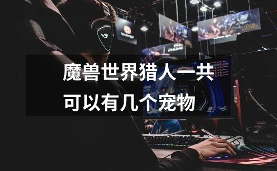 魔兽世界猎人一共可以有几个宠物-第1张-游戏信息-龙启网