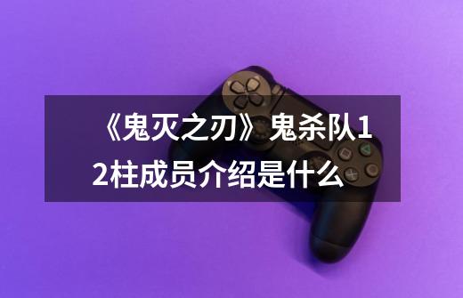 《鬼灭之刃》鬼杀队12柱成员介绍是什么-第1张-游戏信息-龙启网