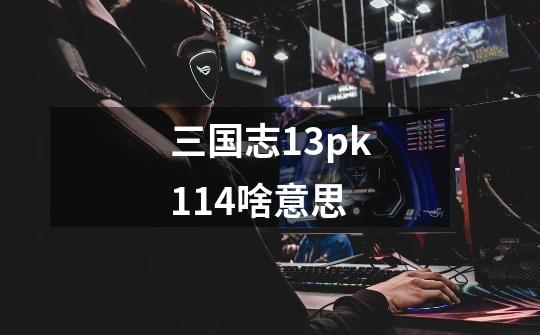 三国志13pk1.14啥意思-第1张-游戏信息-龙启网