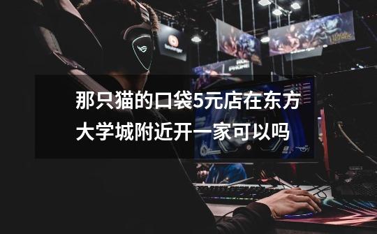 那只猫的口袋5元店在东方大学城附近开一家可以吗-第1张-游戏信息-龙启网