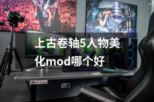 上古卷轴5人物美化mod哪个好-第1张-游戏信息-龙启网