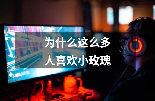 为什么这么多人喜欢小玫瑰-第1张-游戏信息-龙启网