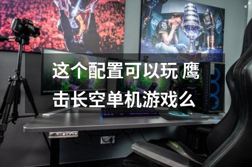 这个配置可以玩 鹰击长空单机游戏么-第1张-游戏信息-龙启网