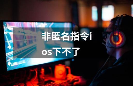 非匿名指令ios下不了-第1张-游戏信息-龙启网