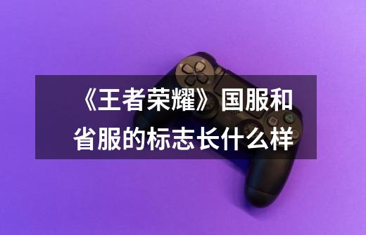 《王者荣耀》国服和省服的标志长什么样-第1张-游戏信息-龙启网