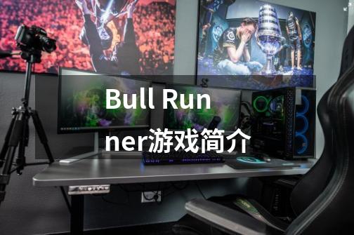 Bull Runner游戏简介-第1张-游戏信息-龙启网
