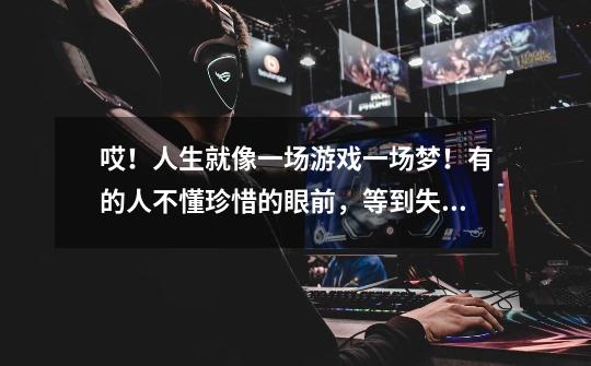 哎！人生就像一场游戏一场梦！有的人不懂珍惜的眼前，等到失去了才知道珍惜…………-第1张-游戏信息-龙启网