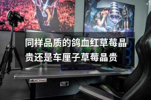 同样品质的鸽血红草莓晶贵还是车厘子草莓晶贵-第1张-游戏信息-龙启网