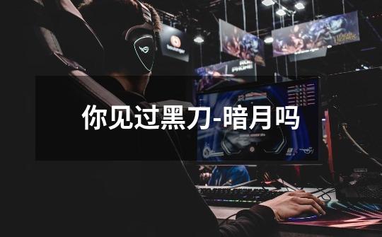你见过黑刀-暗月吗-第1张-游戏信息-龙启网