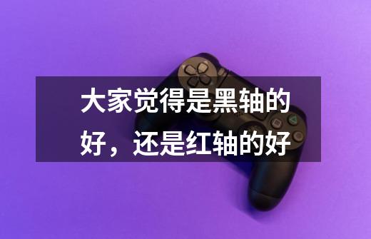 大家觉得是黑轴的好,还是红轴的好-第1张-游戏信息-龙启网