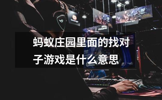 蚂蚁庄园里面的找对子游戏是什么意思-第1张-游戏信息-龙启网