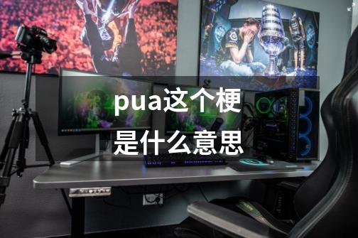 pua这个梗是什么意思-第1张-游戏信息-龙启网