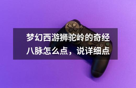 梦幻西游狮驼岭的奇经八脉怎么点,说详细点-第1张-游戏信息-龙启网