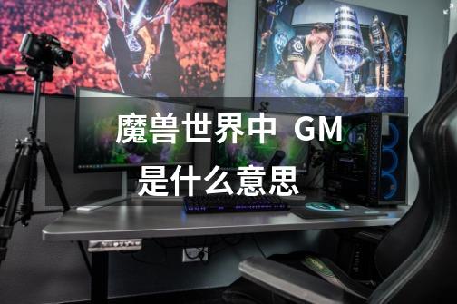 魔兽世界中  GM   是什么意思-第1张-游戏信息-龙启网