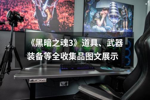 《黑暗之魂3》道具、武器装备等全收集品图文展示-第1张-游戏信息-龙启网
