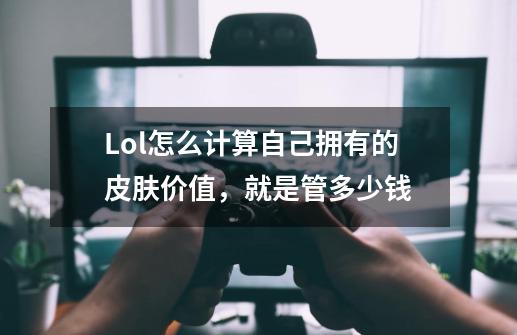 Lol怎么计算自己拥有的皮肤价值，就是管多少钱-第1张-游戏信息-龙启网