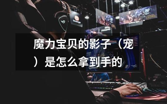 魔力宝贝的影子（宠）是怎么拿到手的-第1张-游戏信息-龙启网
