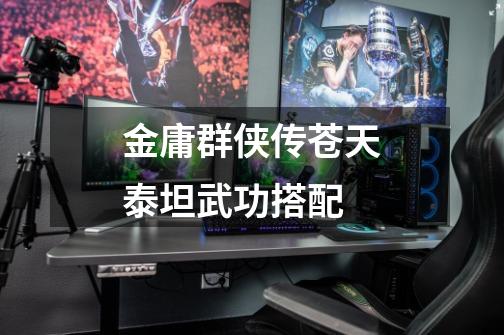 金庸群侠传苍天泰坦武功搭配-第1张-游戏信息-龙启网