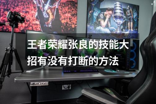 王者荣耀张良的技能大招有没有打断的方法-第1张-游戏信息-龙启网