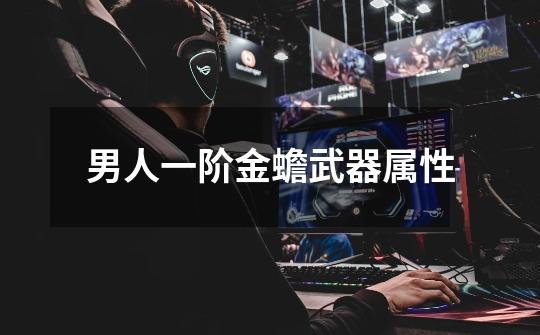 男人一阶金蟾武器属性-第1张-游戏信息-龙启网