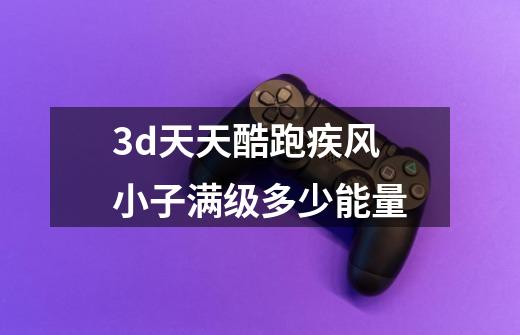3d天天酷跑疾风小子满级多少能量-第1张-游戏信息-龙启网