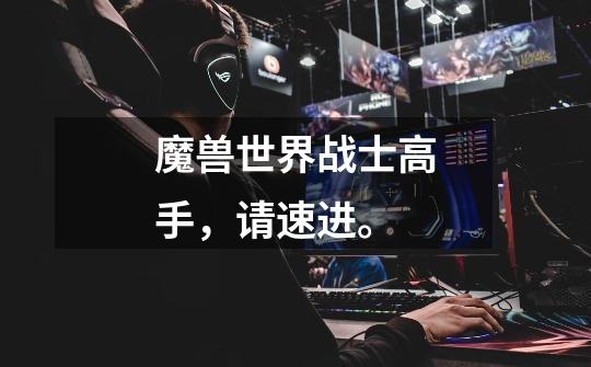 魔兽世界战士高手,请速进。-第1张-游戏信息-龙启网