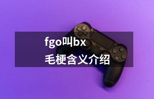 fgo叫bx毛梗含义介绍-第1张-游戏信息-龙启网
