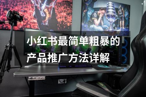 小红书最简单粗暴的产品推广方法详解-第1张-游戏信息-龙启网