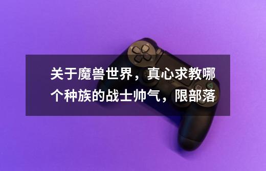 关于魔兽世界，真心求教哪个种族的战士帅气，限部落-第1张-游戏信息-龙启网