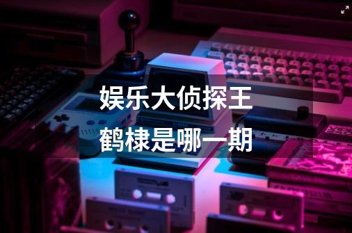 娱乐大侦探王鹤棣是哪一期-第1张-游戏信息-龙启网