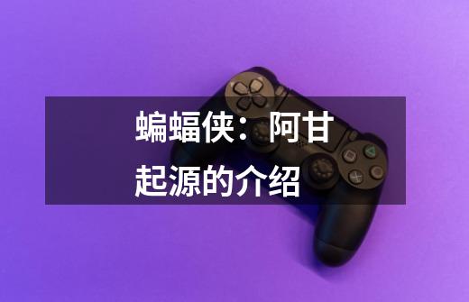 蝙蝠侠：阿甘起源的介绍-第1张-游戏信息-龙启网