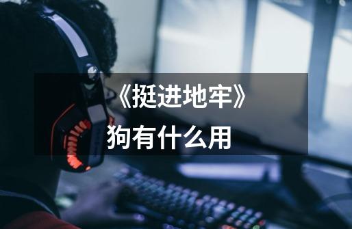 《挺进地牢》狗有什么用-第1张-游戏信息-龙启网