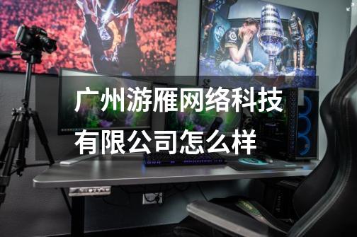 广州游雁网络科技有限公司怎么样-第1张-游戏信息-龙启网