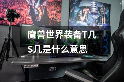 魔兽世界装备T几S几是什么意思-第1张-游戏信息-龙启网