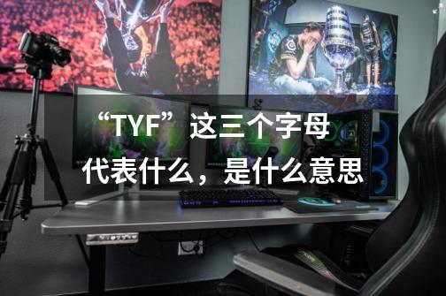 “TYF”这三个字母代表什么,是什么意思-第1张-游戏信息-龙启网