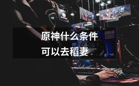 原神什么条件可以去稻妻-第1张-游戏信息-龙启网